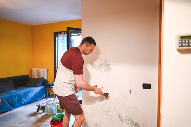 Best Fast Mold Removal  in Bellport, NY
